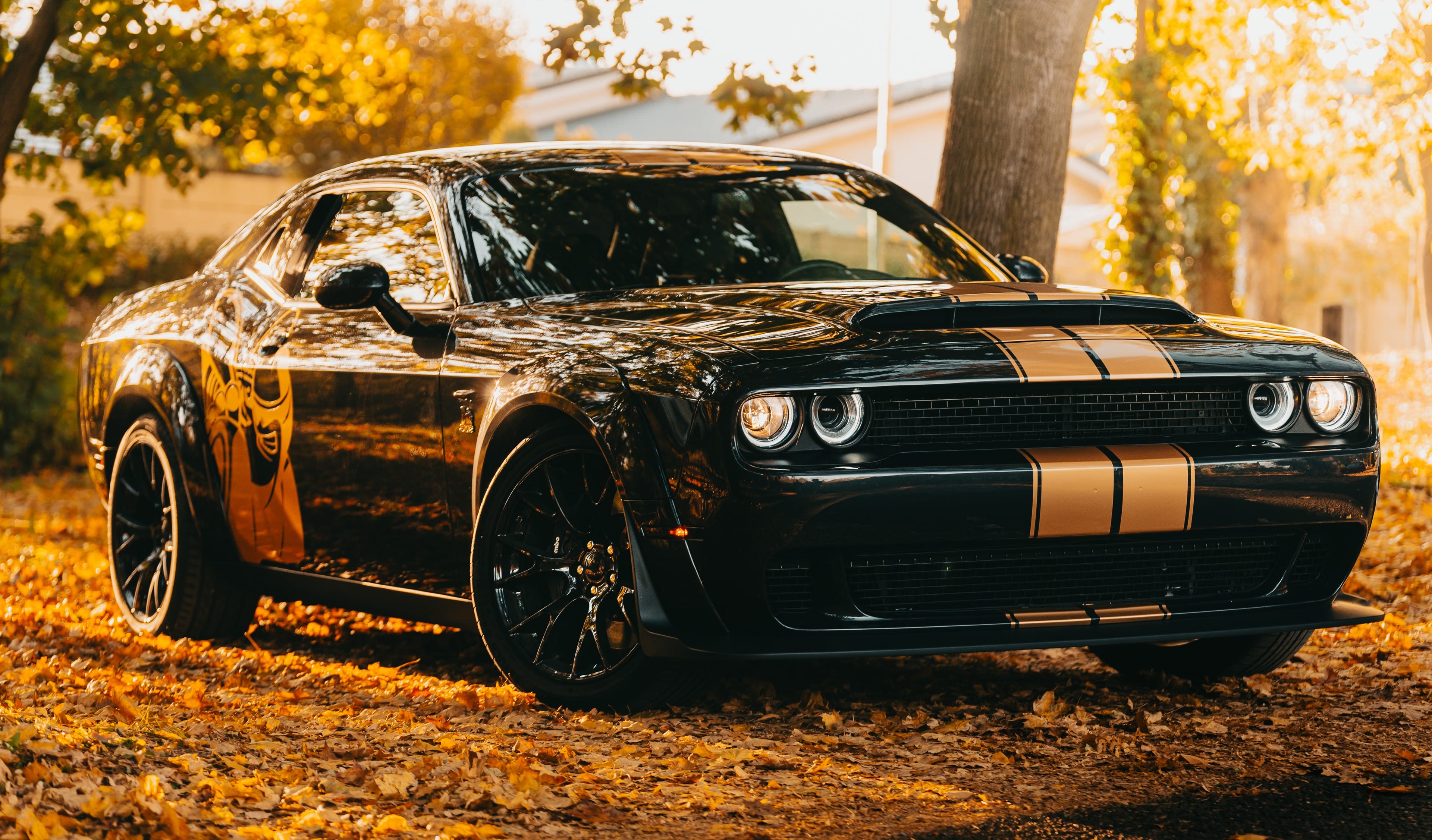 Dodge